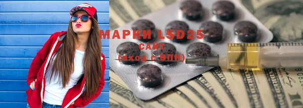 ешки Аркадак