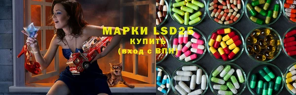 ешки Аркадак