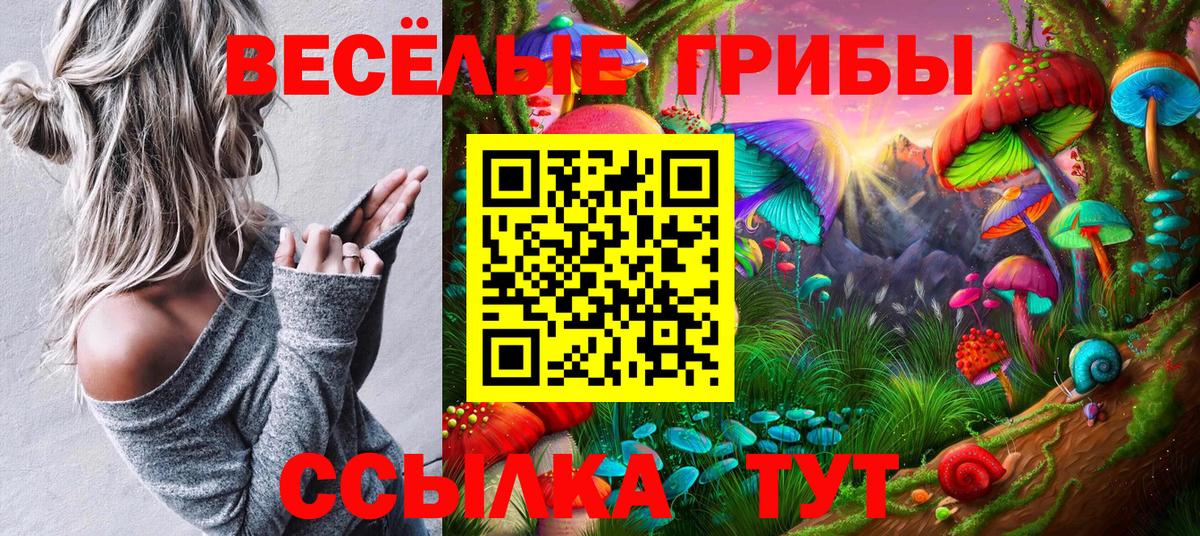 Переславль-Залесский  Галлюциногенные грибы Magic Shrooms  Галлюциногенные грибы ЛСД  Вход с VPN 